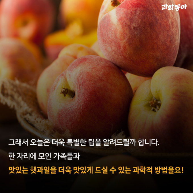 (주)동아사이언스 제공